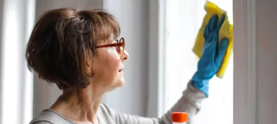 Bild Frau putzt Fenster
